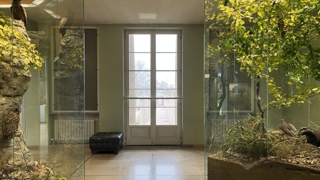 Der Blick durch die UV-Schutzfolien